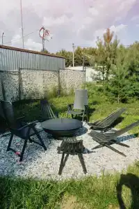 Листья - 31