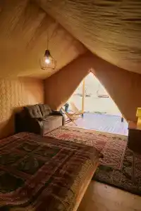 Сафари Парк - 3