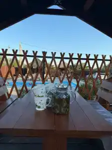 Мержановские Баньки - 12
