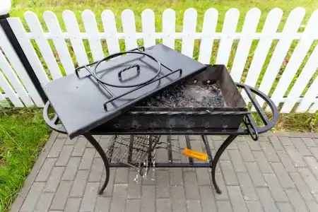 Суздальская вишня - 8