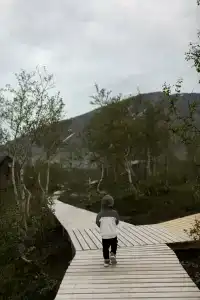 Кемпинг на Севере - 81