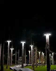 Magic Forest - 18
