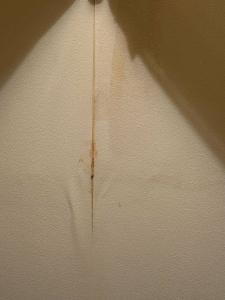 Извольте - 54