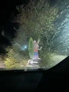 Белый Кролик - 29