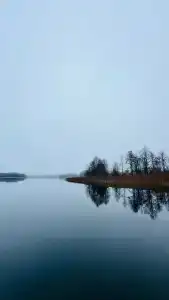 Верасы - 40