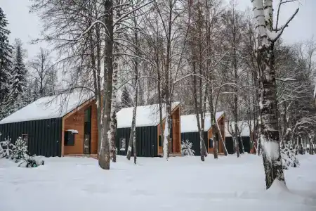 Добролес - 39