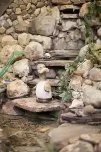 Золотой Ручей - 19