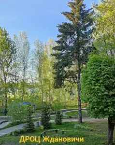Ждановичи - 3