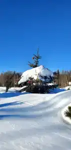 База отдыха Коттеджи Фермы М2 - 33