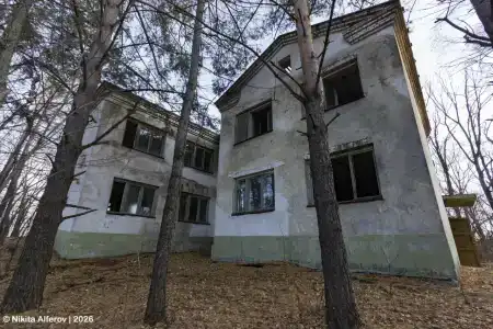 Дубки - 20