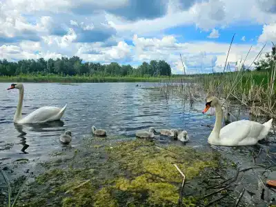 Хутор Увильды - 3