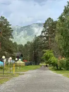 Пилигрим - 17