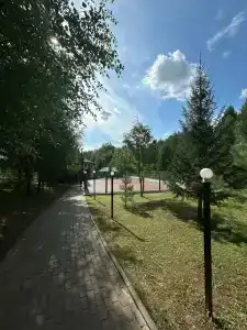 Голден Фиш - 21