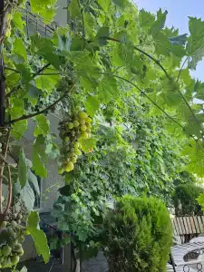 АкваМарин - 14