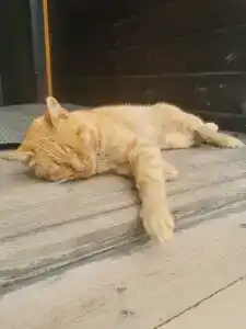 Беловодье - 58