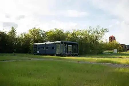 Лён - 95