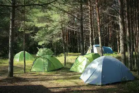 Селигерец - 0