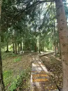 Voronovo Village - 9