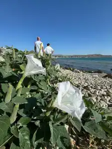 Эллинг Курортебель - 12