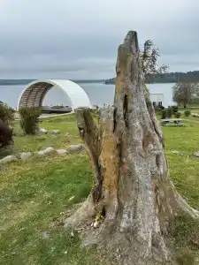 Вуокса парк - 16