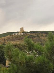 Цитадель - 43