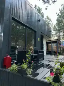 Лесная поляна - 2