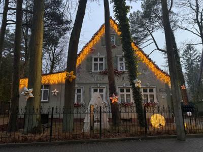 Домик на Садовой Вилла Мигнон - 29