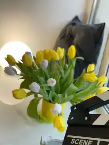 Три Звезды - 23