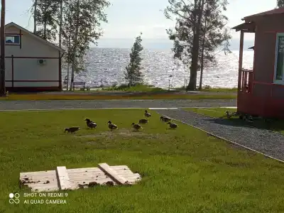 Мы-сЪ Онего - 65