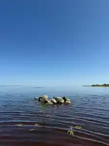 Кубенский берег - 14