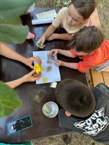 Дом Жар-Птицы - 59