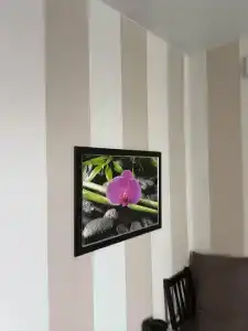 Династия - 81