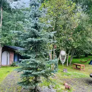 Ловец Снов - 8