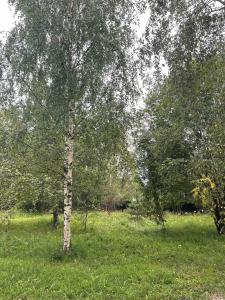 Двухэтажный дом с Патио Верандой - 17