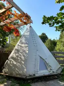 Семейная мини-ферма Фазенда - 18