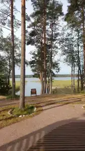 Сосновый берег - 8