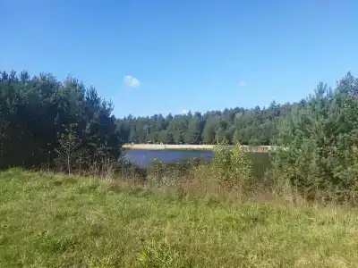Пралеска - 23