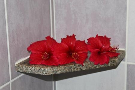 Takamaka Green Village - 25