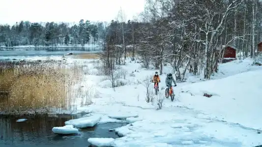 Laplands Bulevardi - 13