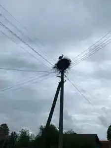 Благодать - 4