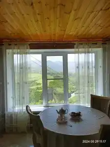 Пение птиц - 94