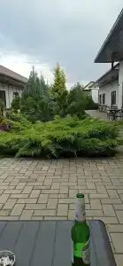 Баварский дворик - 11