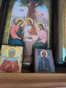 Селигерское заплавье - 66