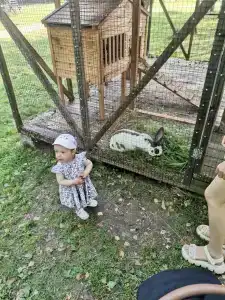 Серебряный Ключ - 99