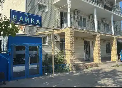 Чайка - 2