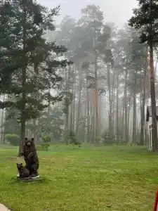 Славянка - 91