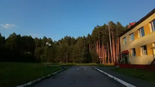 Чуварлейский бор - 26