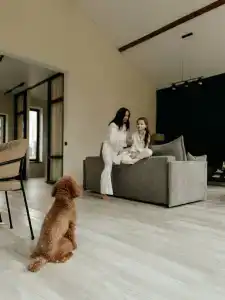 Shelest - 4