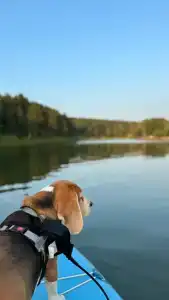 Капитанский Остров 57 - 3