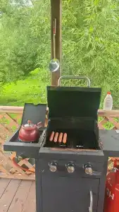 Сибарит - 45